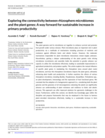 Exploring the connectivity between rhizosphere microbiomes and the plant genes: A way forward for sustainable increase in primary productivity