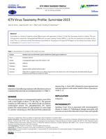 ICTV Virus Taxonomy Profile: Sunviridae 2023