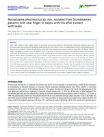 Mycoplasma phocimorsus sp. nov., isolated from Scandinavian patients with seal finger or septic arthritis after contact with seals