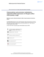 Polymorphism and promoter methylation-regulated mRNA expression of IFI6 gene affect meat quality in pigs