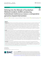 Delving into the lifestyle of Sundarban Wetland resident, biofilm producing, halotolerant Salinicoccus roseus: a comparative genomics-based intervention