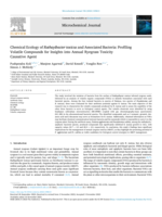 Chemical Ecology of Rathayibacter toxicus and Associated Bacteria: Profiling Volatile Compounds for Insights into Annual Ryegrass Toxicity Causative Agent