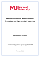 Saltwater and Sulfide Mineral Flotation: Theoretical and Experimental Perspective