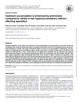 Cadmium accumulation is enhanced by ammonium compared to nitrate in two hyperaccumulators, without affecting speciation