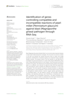 Identification of genes controlling compatible and incompatible reactions of pearl millet (Pennisetum glaucum) against blast (Magnaporthe grisea) pathogen through RNA-Seq