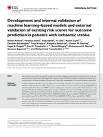 Development and internal validation of machine learning-based models and external validation of existing risk scores for outcome prediction in patients with ischemic stroke