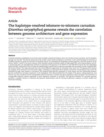 The haplotype-resolved T2T carnation ( Dianthus caryophyllus ) genome reveal the correlation between genome architecture and gene expression