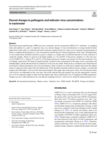 Diurnal changes in pathogenic and indicator virus concentrations in wastewater