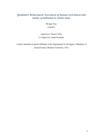 Qualitative Behavioural Assessment of human enrichment and canine socialisation in shelter dogs