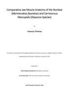 Comparative Jaw Muscle Anatomy of the Numbat (Myrmecobius fasciatus) and Carnivorous Marsupials (Dasyurus Species)