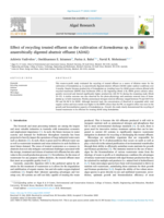 Effect of recycling treated effluent on the cultivation of Scenedesmus sp. in anaerobically digested abattoir effluent (ADAE)