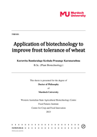 Application of biotechnology to improve frost tolerance of wheat
