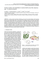 Arsenic transfer and metabolism in marine herbivorous fish, Kyphosus spp.: A research proposal