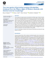 Two new species of burrowing scorpions (Urodacidae: Urodacus) from the Pilbara region of Western Australia with identical external morphology