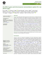 A uniform gene and chromosome nomenclature system for oat (Avena spp.)