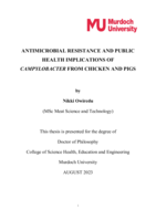 Antimicrobial resistance and public health implications of Campylobacter from chicken and pigs