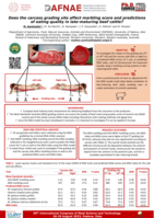 Does the carcass grading site affect marbling score and predictions of eating quality in late-maturing beef cattle?