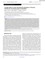 A tough nutlet to crack: Resolving the phylogeny of Thesium (Thesiaceae), the largest genus in Santalales