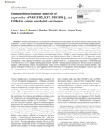 Immunohistochemical analysis of expression of VEGFR2, KIT, PDGFR-β, and CDK4 in canine urothelial carcinoma