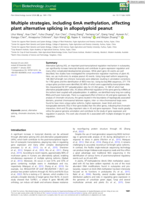 Multiple strategies, including 6mA methylation, affecting plant alternative splicing in allopolyploid peanut