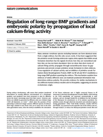 Regulation of long-range BMP gradients and embryonic polarity by propagation of local calcium-firing activity