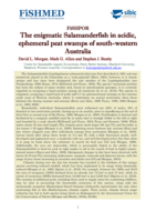 The enigmatic Salamanderfish in acidic,ephemeral peat swamps of south-western Australia