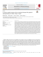 G protein-coupled receptors driven intestinal glucagon-like peptide-1 reprogramming for obesity: Hope or hype?