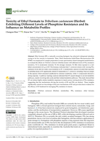 Toxicity of Ethyl Formate to Tribolium castaneum (Herbst) Exhibiting Different Levels of Phosphine Resistance and Its Influence on Metabolite Profiles
