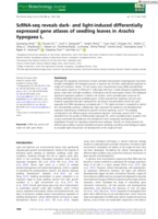 ScRNA-seq reveals dark- and light-induced differentially expressed gene atlases of seedling leaves in Arachis hypogaea L