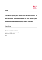 Genetic mapping and molecular characterisation of the candidate gene responsible for root aerenchyma formation under waterlogging stress in barley