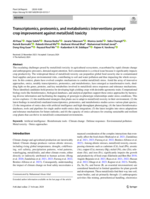 Transcriptomics, proteomics, and metabolomics interventions prompt crop improvement against metal(loid) toxicity