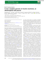 A near complete genome of Arachis monticola, an allotetraploid wild peanut
