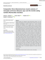 Comparative three-dimensional jaw muscle anatomy of marsupial carnivores (Dasyurus spp.) and the termite-eating numbat (Myrmecobius fasciatus)