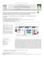 Sequential hydrotalcite precipitation, microbial sulfate reduction and in situ hydrogen sulfide removal for neutral mine drainage treatment