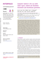 Composite material in the sea urchin Cidaris rugosa : ordered and disordered micrometre-scale bicontinuous geometries