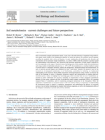 Soil metabolomics - current challenges and future perspectives