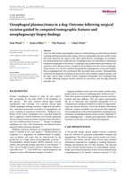 Oesophageal plasmacytoma in a dog: Outcome following surgical excision guided by computed tomographic features and oesophagoscopy biopsy findings