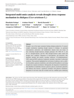 Integrated multi‐omics analysis reveals drought stress response mechanism in chickpea ( Cicer arietinum L.)