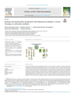 Biomass and hydrocarbon production from Botryococcus braunii: A review focusing on cultivation methods