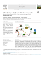 Biofilm cultivation of chlorella species. MUR 269 to treat anaerobic digestate food effluent (ADFE): Total ammonia nitrogen (TAN) concentrations effect