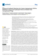 Improved Antibody Detection for Canine Leptospirosis: ELISAs Modified Using Local Leptospiral Serovar Isolates from Asymptomatic Dogs