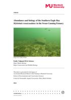 Abundance and biology of the Southern Eagle Ray Myliobatis tenuicaudatus in the Swan-Canning Estuary