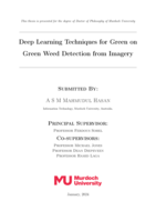 Deep Learning Techniques for Green on Green Weed Detection from Imagery