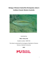 Biology of Western Butterfish (Pentapodus vitta) in Cockburn Sound, Western Australia