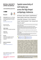 Spatial connectivity of reef manta rays across the Raja Ampat archipelago, Indonesia