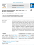 Soil pH and phosphorus availability regulate sulphur cycling in an 82-year-old fertilised grassland