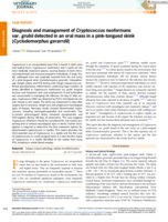 Diagnosis and management of Cryptococcus neoformans var. grubii detected in an oral mass in a pink-tongued skink (Cyclodomorphus gerarrdii)