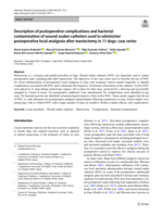 Description of postoperative complications and bacterial contamination of wound soaker catheters used to administer postoperative local analgesia after mastectomy in 11 dogs: case series