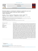 Microbial adaption to stoichiometric imbalances regulated the size of soil mineral-associated organic carbon pool under continuous organic amendments