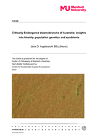 Critically Endangered elasmobranchs of Australia: insights into kinship, population genetics and symbionts